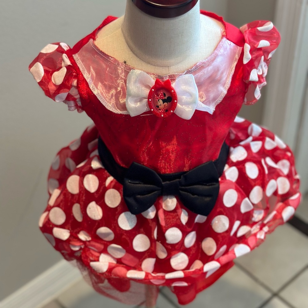 Minnie Mouse costume